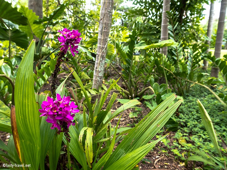 Botanischer Garten Miami